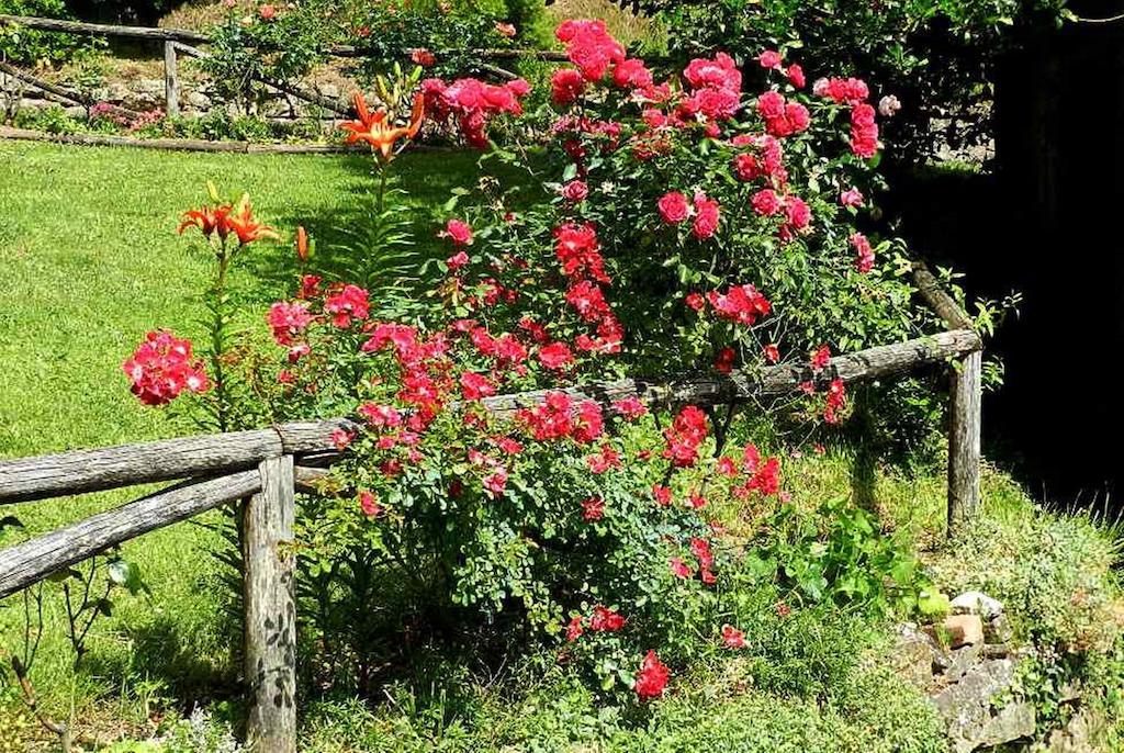 B&B Il Casale Delle Pianacce Castiglione di Garfagnana Exteriör bild